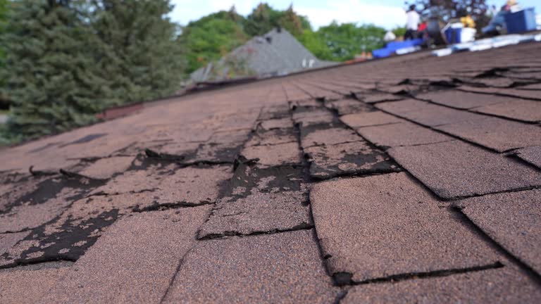 Best Roof Moss and Algae Removal  in Pymatuning Central, PA